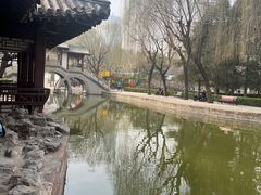 -团结湖公园