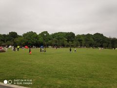 -昆山城市生态森林公园