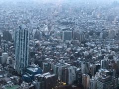 -东京都厅舍