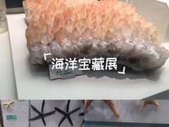 -天津自然博物馆