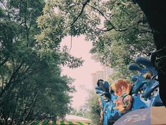 -晓港公园