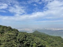 -梧桐山风景名胜区