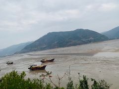 -北岐滩涂