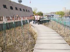 -西安汉城湖景区