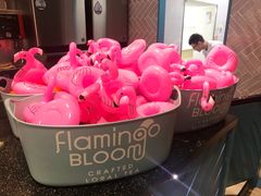 -Flamingo Bloom(TST /尖沙咀店)