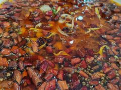 -全聚德(蓝山店)