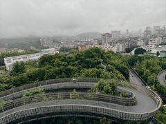 -福道