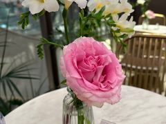 -PAUL LAFAYET 法式甜品(港汇广场店)