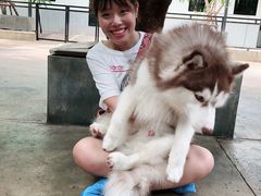 -TrueLove @ Neverland (Husky Cafe)