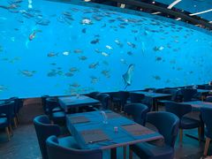 -瑞德姆美人鱼海底演艺主题餐厅(亚龙湾店)