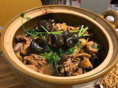 -食爺炭炉鸡煲·烧烤