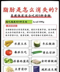 -Fundi张玉珊修身堂·indiba·BTL科技瘦身