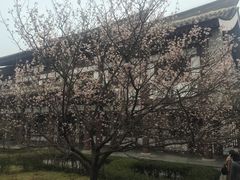 -法门文化景区
