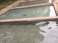 -山湖温泉
