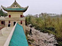 -武汉大学-樱园
