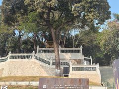-中山公园(石岐街道)