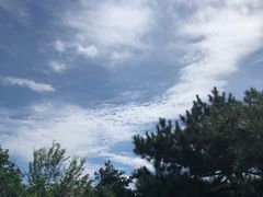 -蓝珊甄选海鲜自助·火锅大排档(近阿那亚店)