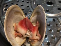 -海大大蒸汽海鲜餐厅·粤菜·特色小炒(欢乐颂店)