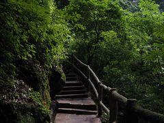 -碧峰峡风景区