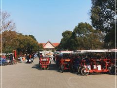 -上海海湾国家森林公园