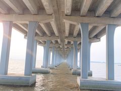 -宝安西湾红树林湿地公园