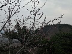 -妙峰山风景名胜区