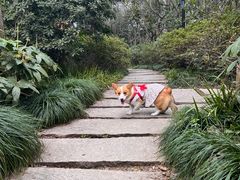 -渤公岛生态公园