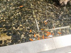 -大渔之观(安贞店)