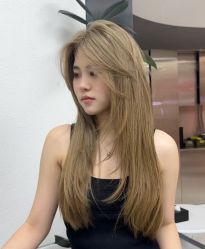 -YESIDO椰岛造型
