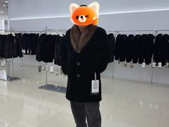 -肃宁华斯国际裘皮城