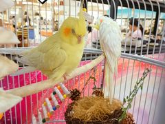 -巴黎春天(浦建店)