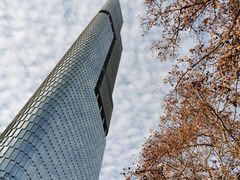 -紫峰大厦