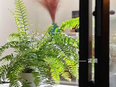 -Butchart布查德鲜花(花艺设计中心)