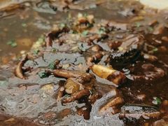 -聚鑫阁江浙菜·非遗传承技艺(闵行交大店)
