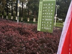 -金岛生态园烧烤露营地