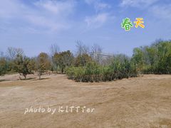 -象湖生态湿地公园