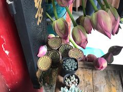-寂照庵