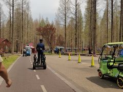 -黄海国家森林公园