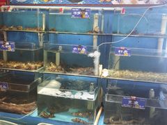 水产区-粥全粥到海鲜家常菜·海肠捞饭(嫩江路店)
