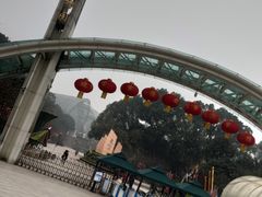 -南山植物园
