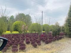 -成都泰迪熊博物馆