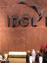 -IDOL-PLUS