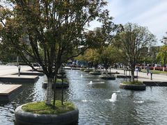 -白塘生态植物园