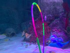 -沈阳海洋探索中心