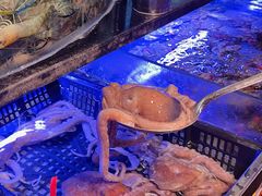 -福禧荟·海鲜自助