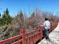 -白水寺森林公园