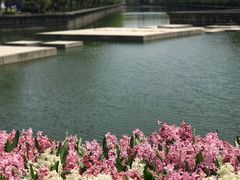 -上海鲜花港