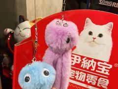 -宠爱国际动物医院· 猫科· 外科·中兽医(长白店)