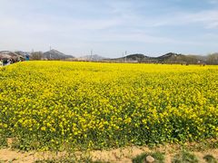 -西海岸生态观光园