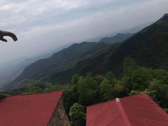 -泰州凤城河风景区-泰山公园